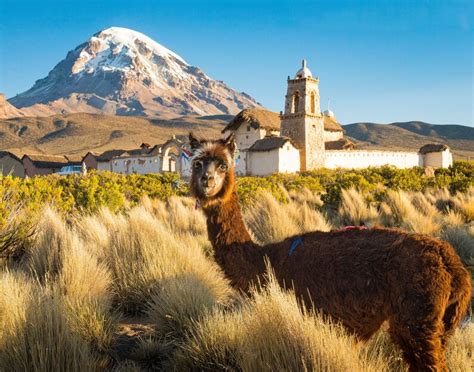 13 Unique Things to Do in La Paz Bolivia on Your Next Vacation