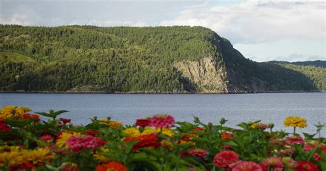 Saguenay (La Baie), Québec Easy Walk At Saguenay National Park Excursion | Norwegian Cruise Line