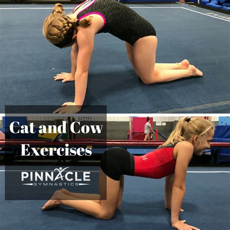 Top 10 Drills to Improve a Back Handspring at Home