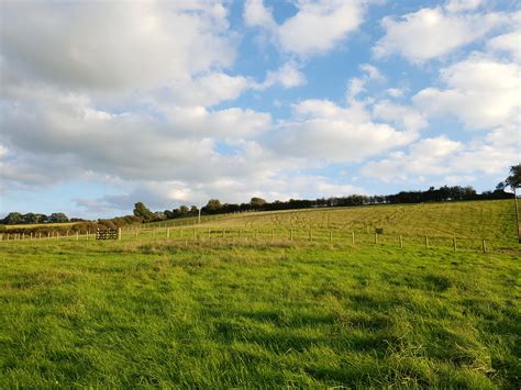 Barnstaple Green Burial