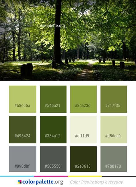 Nature Green Tree Color Palette (With images) | Green colour palette, Green palette, Green ...