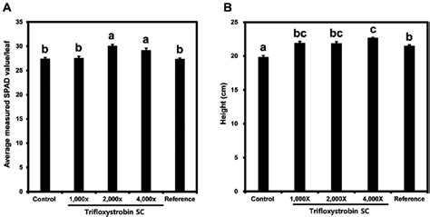 Effect of trifloxystrobin root drenching on chlorophyll content (A) and ...