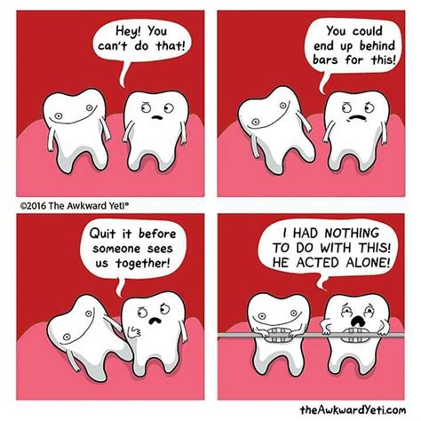 Pin by Tarra Callahan on Dental | Awkward yeti, Funny comic strips, Funny comics