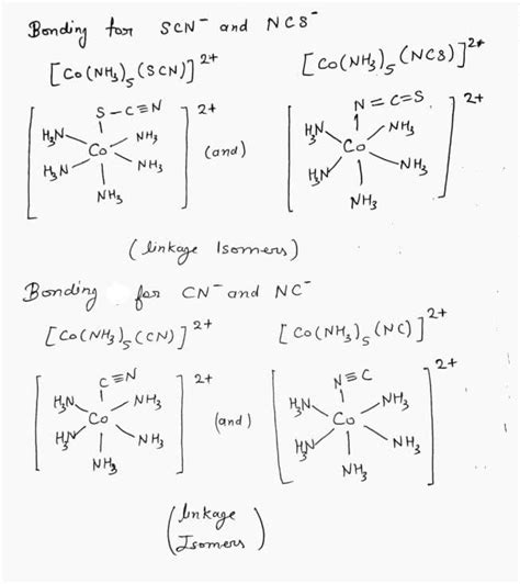 [Solved] What is an ambidentate ligand? Give two examples other than NO2.... | Course Hero