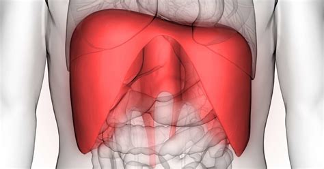 Diaphragm spasm: Symptoms, causes, and treatment