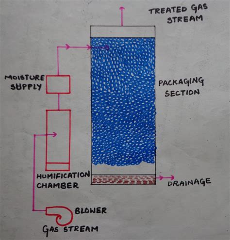 Biosciences blog: Biofilter