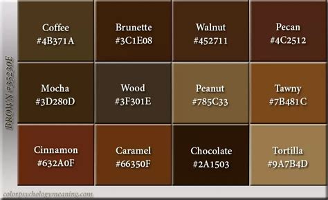 Brown Color Shades Hex Code – Warehouse of Ideas