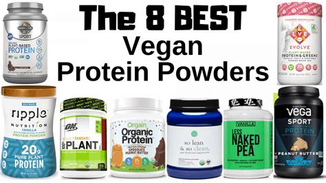 What is the Best Vegan Protein Powder? – VeggL