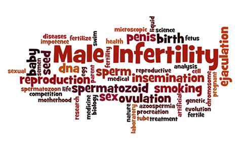 Causes of Male Infertility | Dr. Batra's