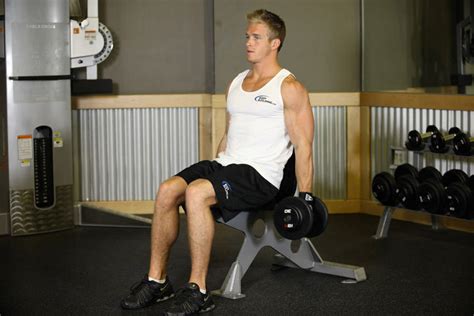 Seated Dumbbell Curl Exercise Guide and Video