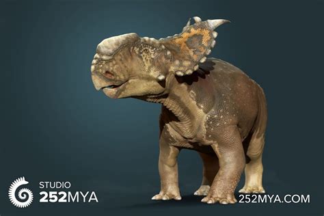 Pachyrhinosaurus the stump-nosed horned dinosaur | Prehistoric animals ...