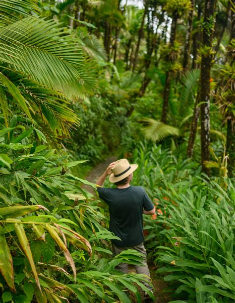 Puerto Rico with kids - Lonely Planet