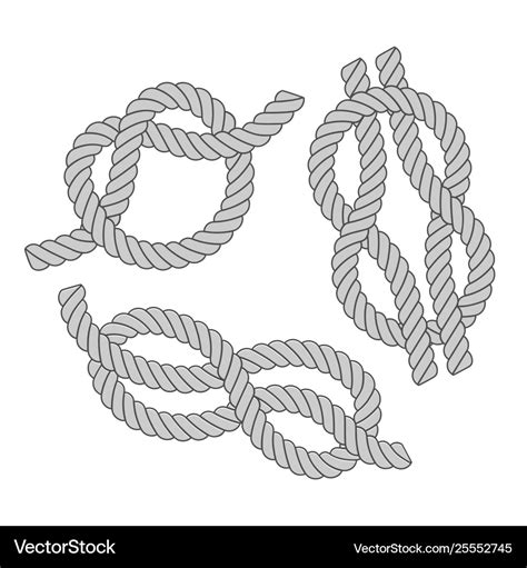 Rope knots Royalty Free Vector Image - VectorStock