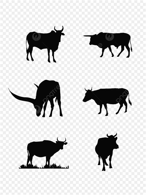 Carabao Clip Art Black And White