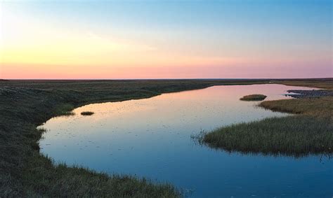 Early Morning Light on the Arctic Plain : Arctic Coastal Plain, ANWR, AK : Fine Landscape and ...