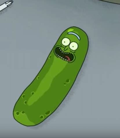 Pickle Rick Reveals Himself in New ‘Rick and Morty’ Season 3 Clip