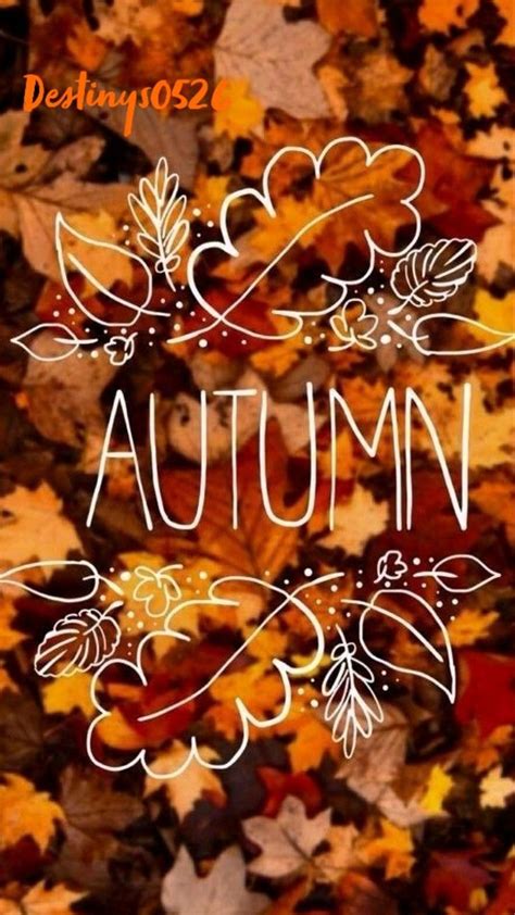 Autumn Harvest | Iphone wallpaper fall, Fall wallpaper, Cute fall wallpaper