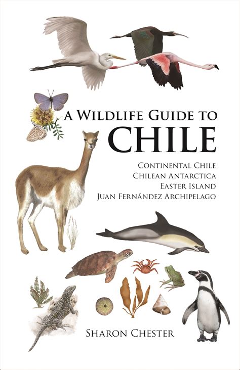 A Wildlife Guide to Chile | Princeton University Press