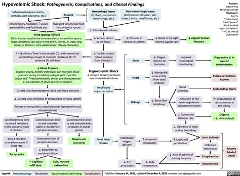 Hypovolemic Shock | Calgary Guide