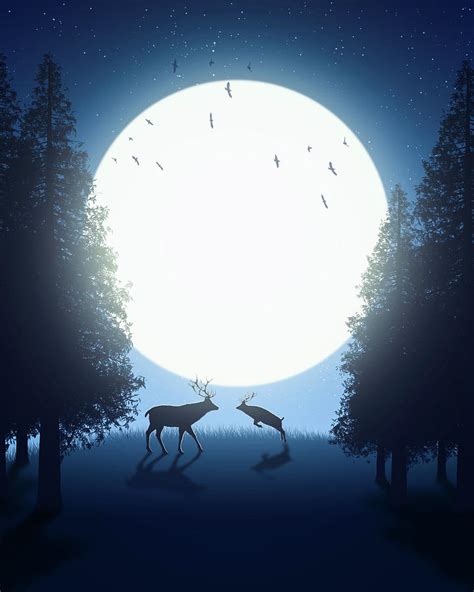 Pine Forest Night Digital Art by DrawingWithMouse - Pixels