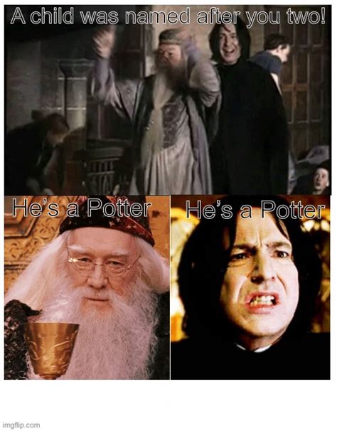 Albus Severus Potter : r/HarryPotterMemes