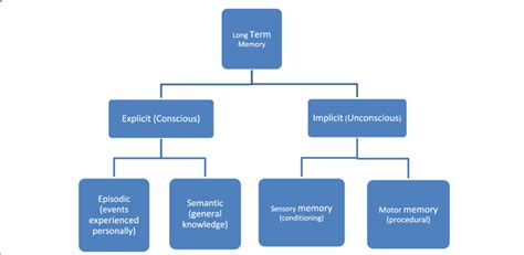 Declarative Memory Chart