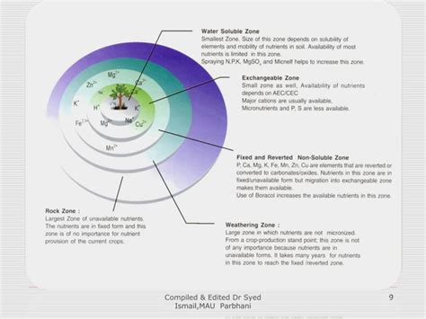 Plant Nutrients | PPT | Free Download