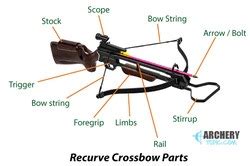 Anatomy Of a Crossbow (with Pictures)