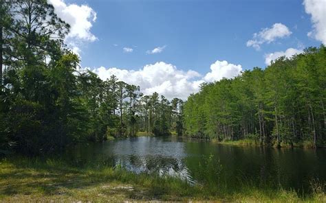 THE 10 BEST Things to Do in Loxahatchee - UPDATED 2021 - Must See Attractions in Loxahatchee, FL ...