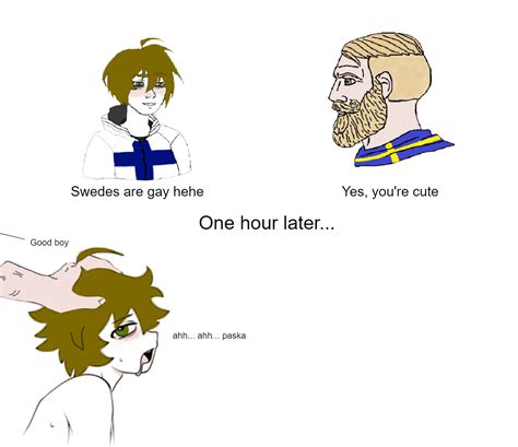 Finland-Sweden relations in a nutshell PT 2 | Doomer Boy / E-Boy Wojak | Know Your Meme