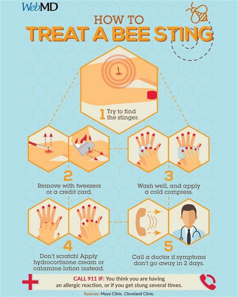 WebMD on Instagram: “Bee sting? 🐝 Follow these steps to remove the stinger and relieve itching ...