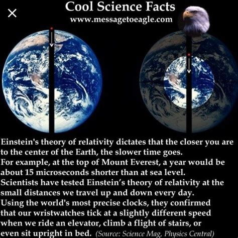 Earth Science Facts Life Science | Cool science facts, Astronomy facts ...