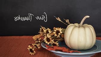 pumpkins, halloween, skull, autumn, gourd, deco, pumpkin decoration, pumpkins autumn, celebrate ...