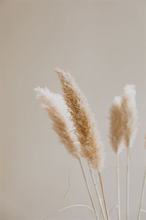 natural decor // slow living // hygge aesthetic // neutrals | Aesthetic iphone wallpaper, Beige ...