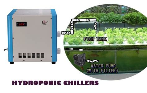 Diy Water Chiller Hydroponics / Water Chilling for Hydroponics Growing Environments ... / This ...