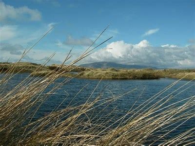 North Walney Island nature reserve,Cumbria. - National Parks of the World on Waymarking.com