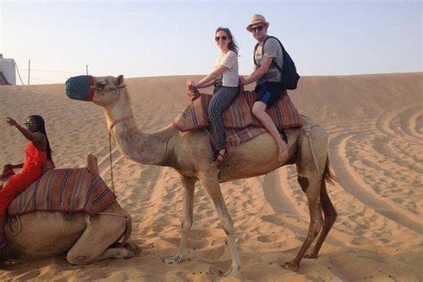 Nine Hours of Desert Safari Adventure in Abu Dhabi is Full of an ...