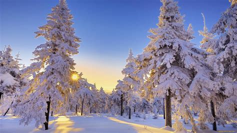 40 Winter Snow Scenes Wallpapers - WallpaperBoat