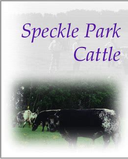 Speckle Park Cattle - The Original Breed