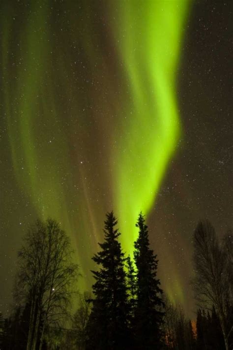 Somerset House - Images. ALASKA, CHENA HOT SPRINGS AURORA BOREALIS