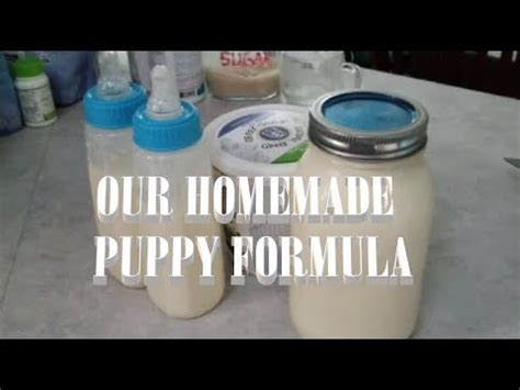 HOMEMADE PUPPY FORMULA RECIPE |MILK REPLACEMENT - YouTube