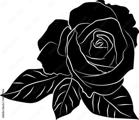 black rose silhouette - freehand, vector illustration Stock Vector ...