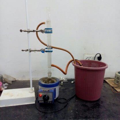 Preparation of Plant Extract | Download Scientific Diagram