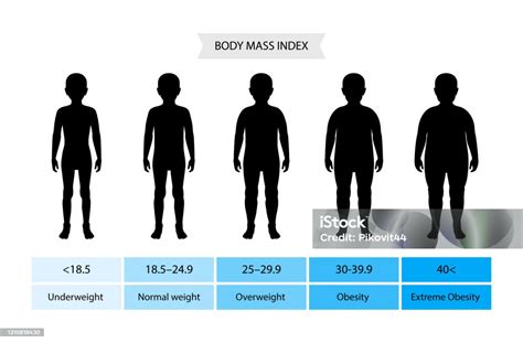 Indeks Massa Tubuh Anakanak Ilustrasi Stok - Unduh Gambar Sekarang ...