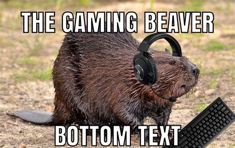 The Gaming Beaver : r/TheGamingBeaverReddit