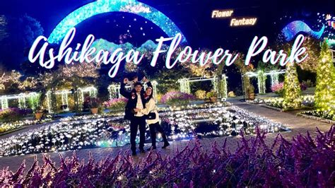 Ashikaga Park at Night #あしかがフラワーパーク| Ashikaga Flower Park【Christmas ...