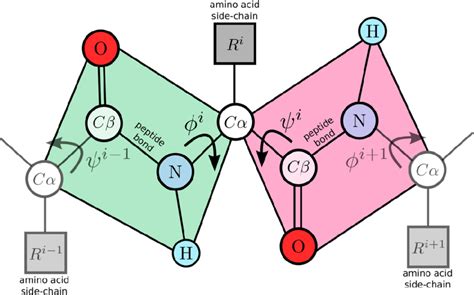 How to "linearize" or "unfold" a PDB format structure to secondary ...