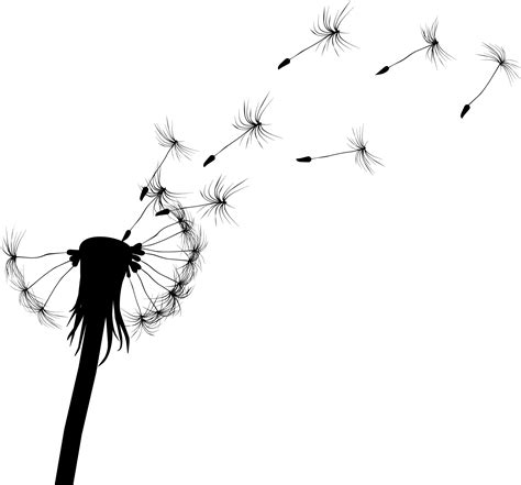 Dandelion Vector - ClipArt Best