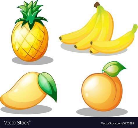 Flashcard of yellow color set with four fruits on white background ...