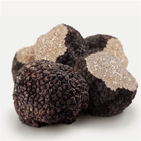 Fresh Black Summer Truffles 8 oz – Sabatino Truffles